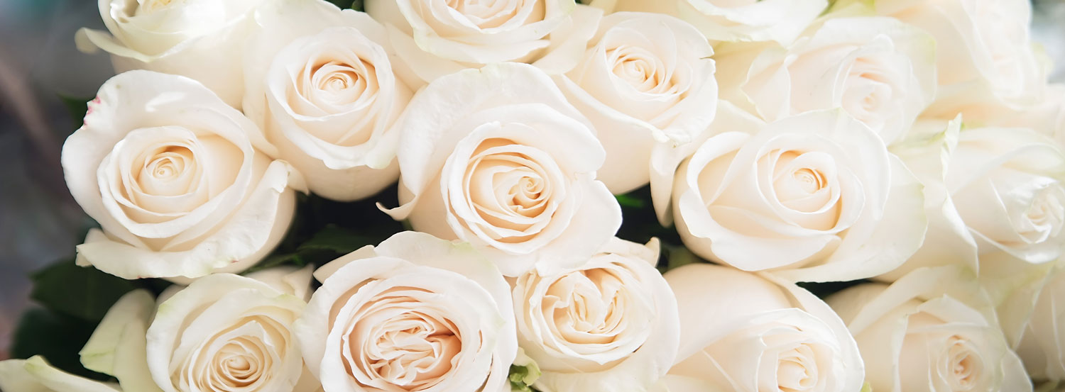 Marquee Hire in Maidstone Wedding Marquees in Maidstone, Kent